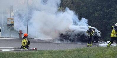 Die Feuerwehr löschte das brennende Auto.