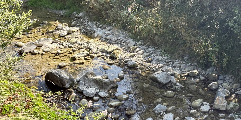 Der Aabach in Uznach: nur Tümpel ohne Fische.