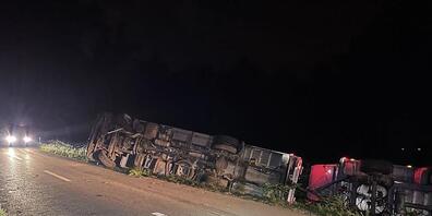 Sechs Schweine tot - sieben verletzt: Der gekippte Schweinetransporter in Fahrwangen AG.