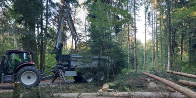 Der Stadtförster hat bisher mehr als 400 Kubikmeter befallene Fichten angezeichnet.