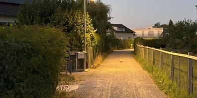 Die 55-Jährige stürzte auf einem Weg in Goldach SG.