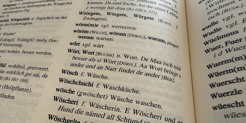 Das «Schaffhauser Mundartwörterbuch» ist die Inspiration für unsere Mundart-Rubrik.
