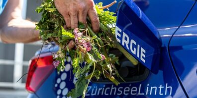 Gas als Energieträger wird immer grüner, dafür setzt sich die EZL als regionaler Energielieferant konsequent ein.