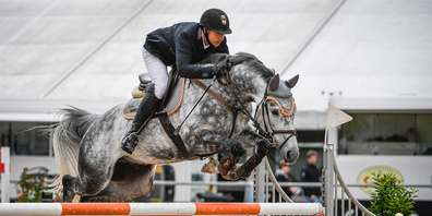 Marc Röthlisberger (Wollerau) und Cruz gewannen die Hauptprüfung von Maienfeld (im Bild am letztjährigen Concours Galgenen).