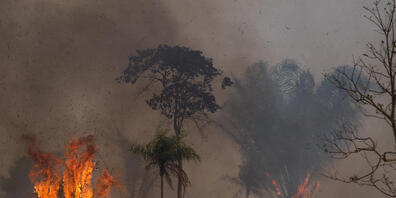 ARCHIV - Ein Waldstück im Amazonas-Gebiet steht in Flammen. Diesen Juni sind mehr als 2300 Brände im brasilianischen Amazonas registriert worden. Foto: Fernando Souza/dpa