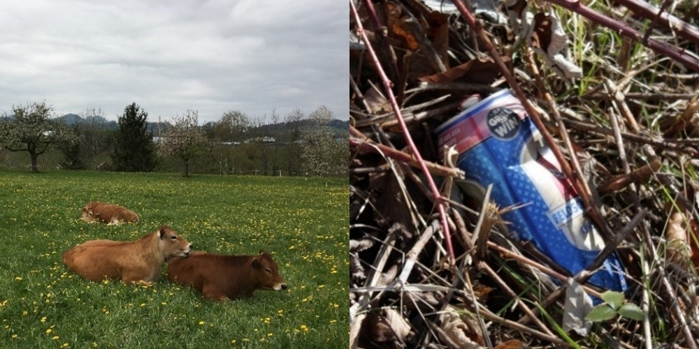 Viele Bauernfamilien der Gemeinde sorgen für eine intakte und gepflegte Landschaft.
