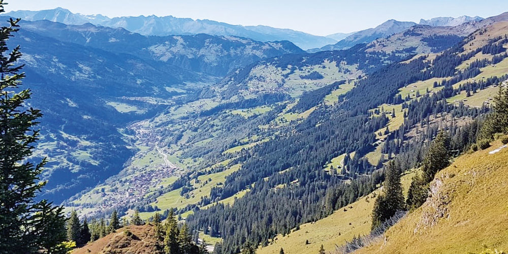 Im Rahmen des Wald-Klimaschutzprojektes verpflichten sich Waldeigentümer aus der Region Prättigau/Davos, durch eine angepasste Waldbewirtschaftung den Anteil an Kohlenstoff im Wald zu erhöhen und langfristig zu sichern.