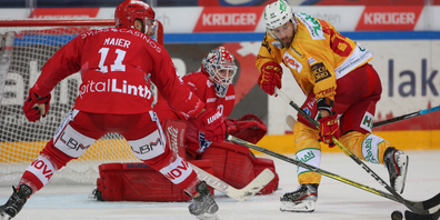 (Archivbild, Foto: Thomas Oswald)