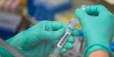 ARCHIV - Eine Mitarbeiterin des Landesgesundheitsamts Baden-Württemberg pipettiert Corona-Proben. Foto: Marijan Murat/dpa