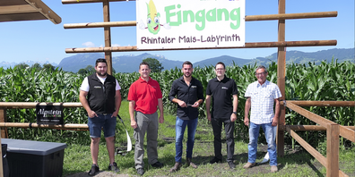 Vor einem Jahr wurde zum ersten Mal das Rheintaler Maislabyrinth «RhyLa» eröffnet