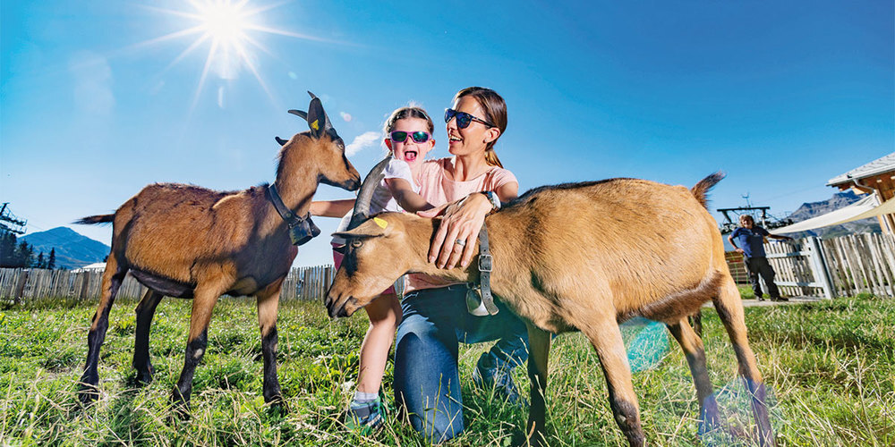 Auf Madrisa hat die Sommersaison begonnen.