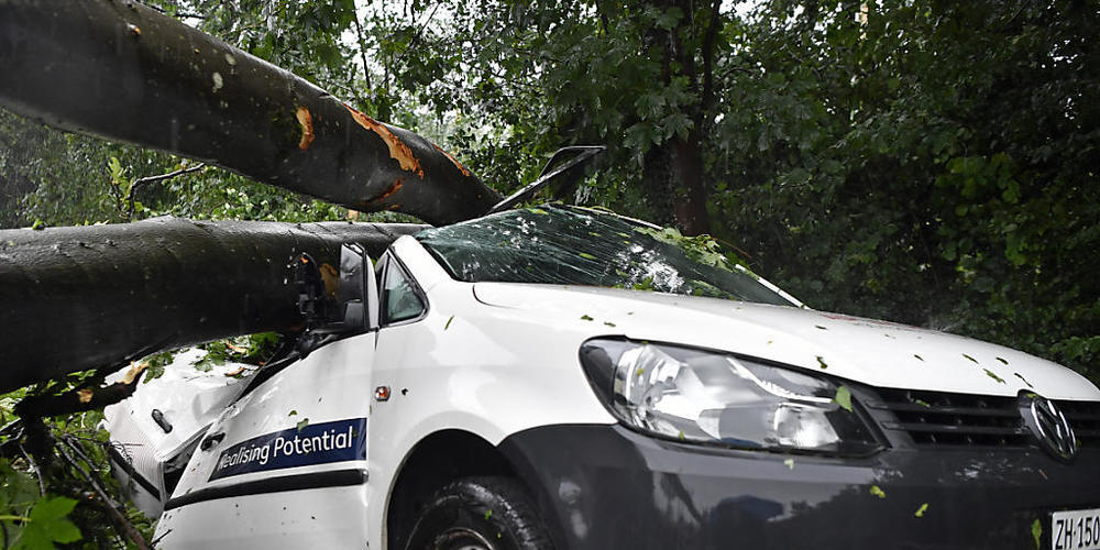 Auto unter Bäumen am Zürcher Käferberg am Dienstag.