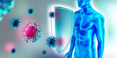 Ist die Immunabwehr nach einer Corona–Infektion nur auf sechs Monate begrenzt?