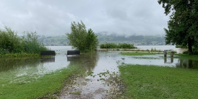 Viel Wasser am Ufer des Zürichsee (Jona).