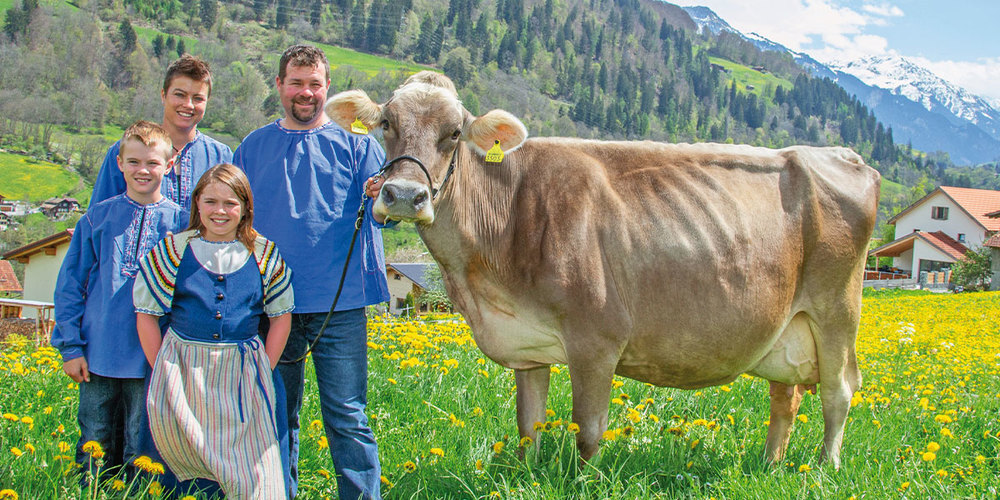 Über 100 000 Liter Milch hat die Kuh Katrin in ihrer Karriere bisher produziert.