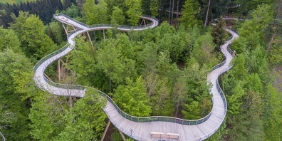 Auch der Baumwipfelpfad Neckertal, Mogelsberg, ist nominiert.