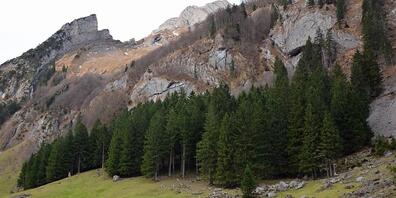 Auf einem Wanderweg in Richtung Seealpsee ist am Mittwochnachmittag ein Wanderer abgestürzt.