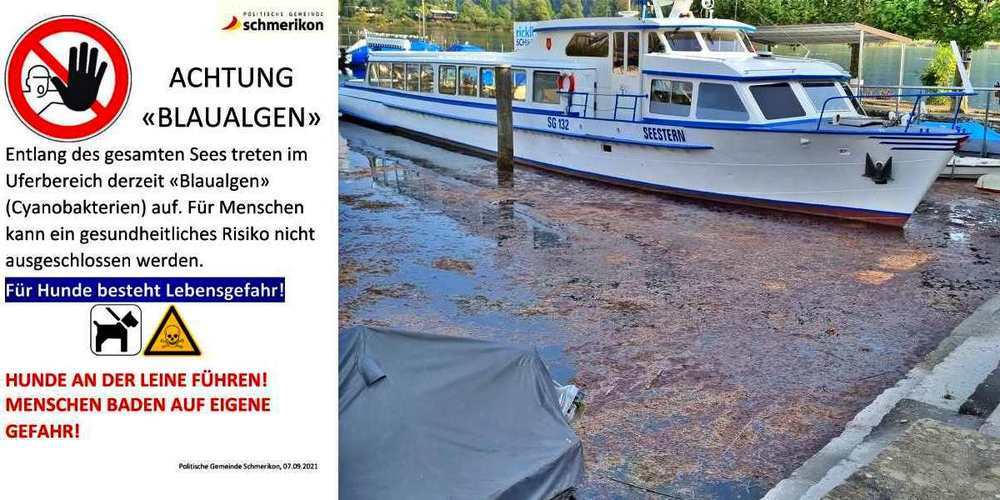 Im Spätherbst wurden die Warnschilder entfernt – ob sie nun im Frühling wieder aufgestellt werden, ist noch unklar.