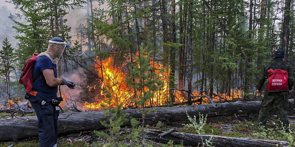 Bei den Busch- und Waldbränden in Russland ist eine rekordhohe Zahl von Wäldern zerstört worden. (Archivbild)