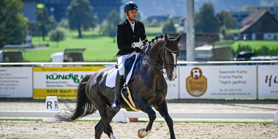 Fabio Tino auf Baudolino