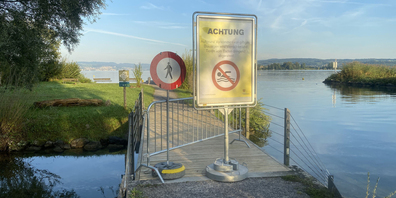 Achtung giftige Blaualgen: Die Gemeinde Freienbach warnt beim Hurdner Durchstich vor einem Bad im See.