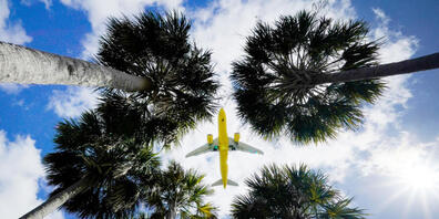 ARCHIV - Ein Passagierflugzeug landet am Flughafen Tampa im US-Bundesstaat Florida. Foto: Gene J. Puskar/AP/dpa