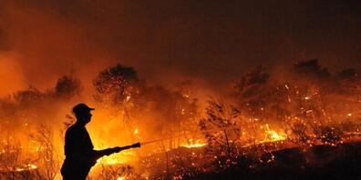 In Nea Makri nordöstlich von Athen ist erneut ein Waldbrand ausgebrochen. (Archivbild)