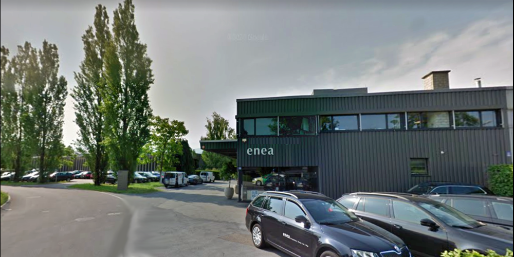 Die Stadt verlangt fürs Enea-Baummuseum in Rapperswil-Jona ein Zertifikat.