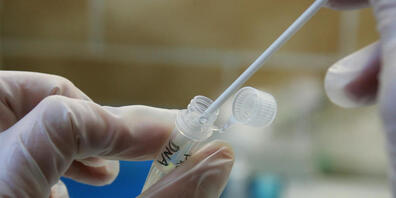Ermittlungsbehörden sollen künftig aus DNA-Spuren etwa die Haar- und Augenfarbe, das Alter oder die biogeografische Herkunft herausgelesen dürfen. (Symbolbild)