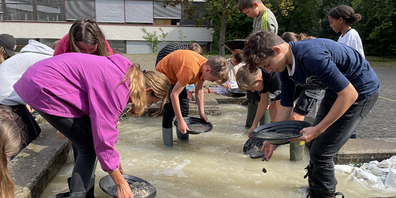 Die Schülerinnen und Schüler verwandelten sich in richtige Goldgräberinnen und Goldgräber.