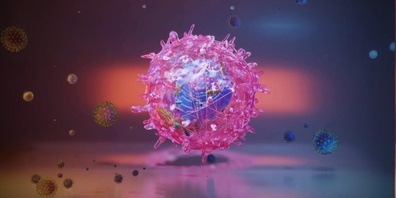 Das Corona-Virus hält die Welt auf unterschiedliche Art in Trab.