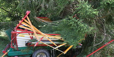 Der Landwirt wurde aus dem Ladewagen geschleudert, als dieser bei Näfels in einen Baum prallte.