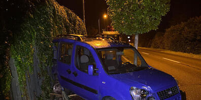 Ende einer Blaufahrt: Der Kleinwagen prallte in Boswil in zwei Bäumchen und in eine Lärmschutzwand.