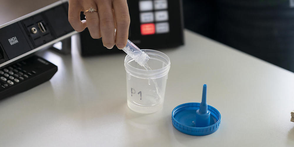Corona-Tests sollen für alle Personen gratis bleiben, solange die erweiterte Zertifikatspflicht gilt.