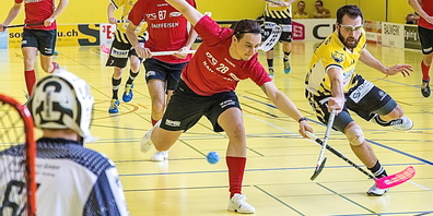 Gegen die Vipers gibt es für die Rheintal Gators immer spannende Partien