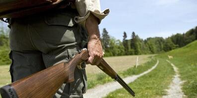 Die 140 Jagdreviere im Kanton St.Gallen sollen künftig nach neuen Regeln vergeben werden.