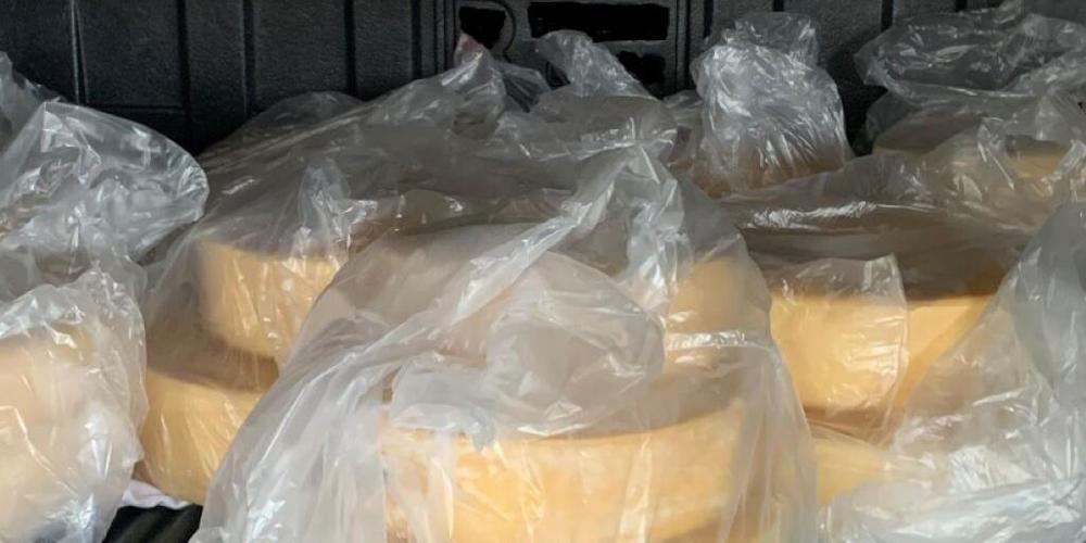 "Ein bisschen Käse aus der Schweiz": Die vom Zoll in Bietingen (D) im Reisecar gefundenen Käselaibe.