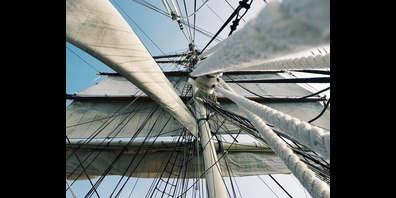 Vom Umweltbewusstsein spricht man heute durchaus von einer gesellschaftlichen Bewegung. 