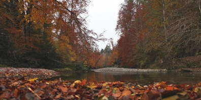 Jonas lange Geschichte hängt auch mit dem gleichnamigen Fluss zusammen. 