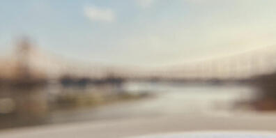 Fruchtfliegen reagieren empfindlich auf chronische Einsamkeit: Einer Studie zufolge verändern sie ihr Schlaf- und Fressverhalten, wenn sie isoliert sind. (Pressebild)