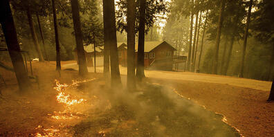 Flammen eines Waldbrandes lodern in einem Waldstück im kalifornischen Grizzly Flats. In Kalifornien kämpfen mehr als 10 000 Feuerwehrleute gegen die Brände an. Das sogenannte Caldor-Feuer ist nach Angaben der Feuerwehr am Mittwoch (Ortszeit) inner...