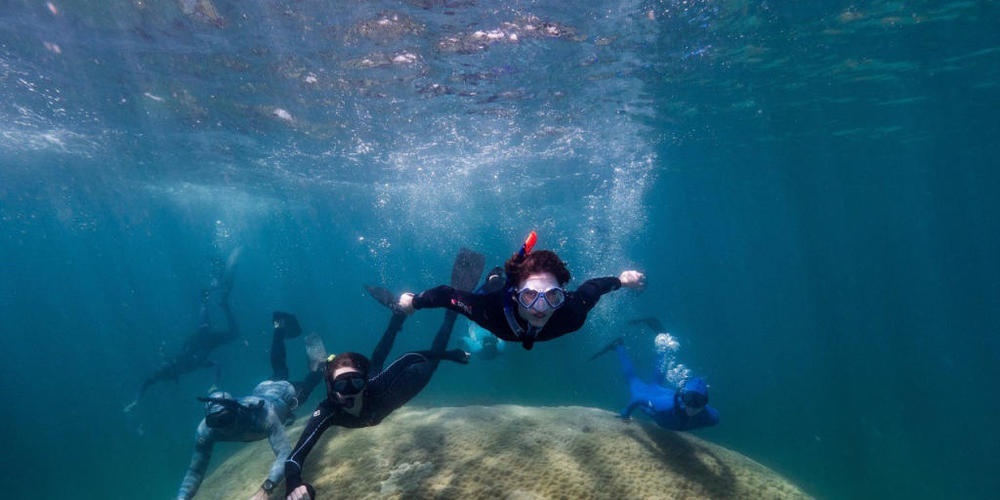 HANDOUT - Wissenschaftler schwimmen über die Koralle bei Goolboodi (Aufnahmedatum unbekannt). Eine gigantische, mehr als zehn Meter breite Koralle haben Forschende im Great Barrier Reef vor der australischen Küste entdeckt. Foto: Woody Spark/Sprin...