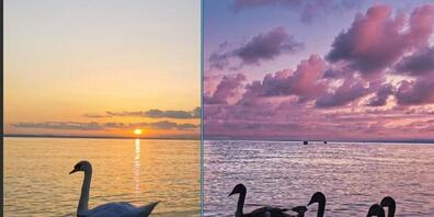 Sortieren und verschönern: Verschiedene Tools sorgen dafür, dass das Ferienalbum attraktiver wird. (Symbolbild)