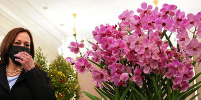 Kamala Harris (l), US-Vizepräsidentin, steht neben Papilionanda Kamala Harris (r) während einer Orchideentaufe im Istana. Singapur hat anlässlich des Besuchs von US-Vizepräsidentin Kamala Harris eine Orchidee nach der demokratischen Politikerin be...