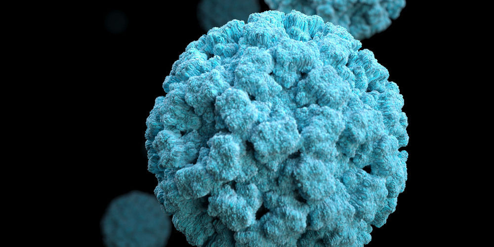 Das Norovirus hat derzeit Hochsaison.