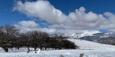 Eine geschlossene Schneedecke hat sich in der Nähe von Ceres am Westkap von Südafrika gebildet. Foto: Kristin Paliza/dpa