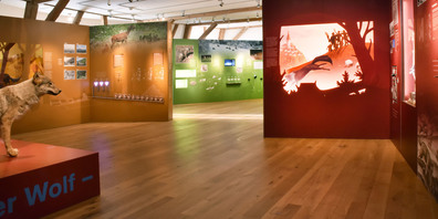 Blick in die Ausstellung. Foto: Naturmuseum Thurgau