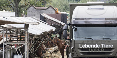 Das Militär sicherte im August 2017 die Pferde, die in Hefenhofen TG beschlagnahmt worden waren. (Archivbild)