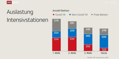 Auslastung Intensivstationen (Screenshot vom 17.8.21).