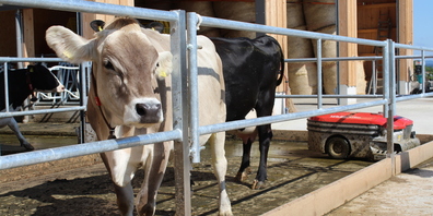 Der Arenenberg will die Knospen-Anerkennung wieder erlangen.